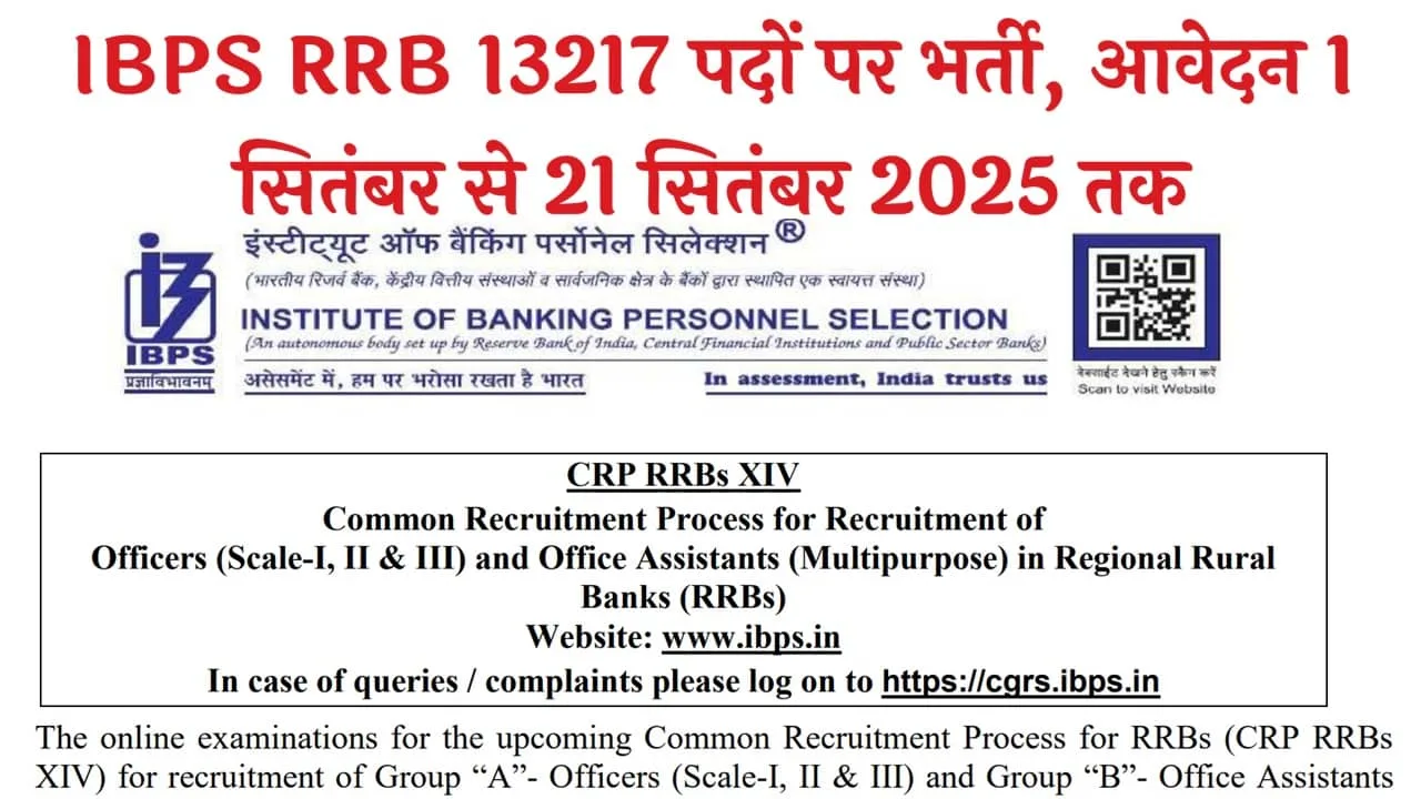 IBPS RRB Recruitment 2025: आईबीपीएस ने ऑफिसर और ऑफिस असिस्टेंट के 13217 पदों पर भर्ती का नोटिफिकेशन किया जारी